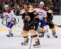 Adam McQuaid, Boston Bruins Royalty Free Stock Photo