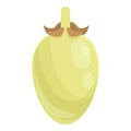 Adansonia fruit icon, cartoon style