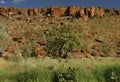 Adansonia gregorii Royalty Free Stock Photo