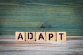 ADAPT. Text from wooden letters on a green background Royalty Free Stock Photo