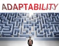 Adaptability can be hard to get - pictured as a word Adaptability and a maze to symbolize that there is a long and difficult path