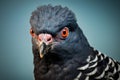 Adaptable Pigeon bird. Generate Ai