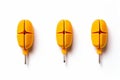 adaptive noise cancelling earplugs earplugs adjusting to differe