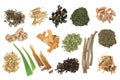 Adaptogen Herbs and Spices