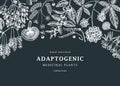Adaptogenic plants background. With hand-sketched medicinal herbs, weeds, berries, leaves on chalkboard. Vector adaptogens vintage Royalty Free Stock Photo