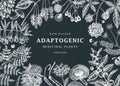 Adaptogenic plants background. Hand-sketched medicinal herbs, weeds, berries, leaves frame design. Perfect for brands, label, Royalty Free Stock Photo