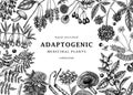 Adaptogenic plants background. Hand-sketched medicinal herbs, weeds, berries, leaves frame design. Perfect for brands, label, Royalty Free Stock Photo