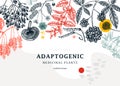 Adaptogenic plants trendy background in collage style. Hand-sketched medicinal herbs, weeds, berries, leaves frame design. Hand