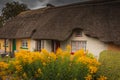 Adare, Ireland. Thatched cottage in the picturesque Village of Adare, Co. Limerick full of flowers in front garden 2019 Ireland,