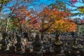 Adashino Nenbutsu-ji Temple, Tokyo Royalty Free Stock Photo