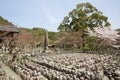 Adashinonenbutsuji Buddhist Temple Royalty Free Stock Photo