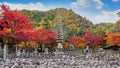 Adashinonenbutsuji temple in autumn, Kyoto in Japan Royalty Free Stock Photo