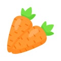 Add a pop of farm fresh vibrancy to your designs with our Carrot Icon. Premium carrots Vector