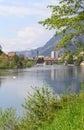 Adda river, flowing from the lake Como, the town of Lecco, nature and white swan swimming near the shore. Royalty Free Stock Photo