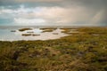 Adden sea on the island Romo in Denmark, intertidal zone, wetland with plants, low tide at north sea