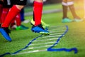 Adder drills for football training. Ladder drills exercises for Royalty Free Stock Photo