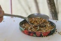 Adding grain to the bird feeder for wintering birds