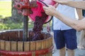 Adding grapes to a an old wooden manual wine press.