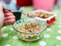 Adding ground walnuts to recipe