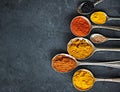Adding some flavor to your food. spoons filled with a variety of spices.
