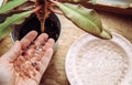 Adding water beads gel balls in houseplant pot in home. Royalty Free Stock Photo