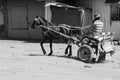 Man riding a horse cart Royalty Free Stock Photo