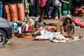 Addis Mercato in Addis Abeba, Ethiopia in Africa. Royalty Free Stock Photo