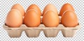 Eggs in Tray Isolated on Transparent Background PNG Royalty Free Stock Photo