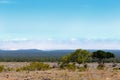 Addo Landscape with clouds Royalty Free Stock Photo