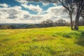 Adelaide Hills landscape Royalty Free Stock Photo
