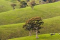 Adelaide Hills vista landscape in winter season Royalty Free Stock Photo