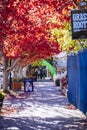 Colourful autumn in Hahndorf Main Street, South Australia Royalty Free Stock Photo