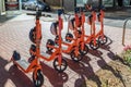 Neuron E-scooters parked in Adelaide city