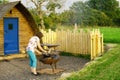 Adele cooking scrambled egg, via a firepit whilst glamping, in Cumbria. Royalty Free Stock Photo