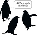 Adele penguin standing, going, raising wings silhouettes