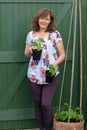 Adele showing her recently sown and planted runner beans. Royalty Free Stock Photo
