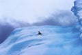 Adelie Penguin Blue Iceberg Closeup Charlotte Bay Antarctica