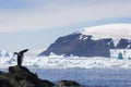 Adelie Penguin in Brown Bluff, Antarctica