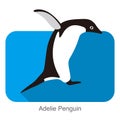 Adelie penguin jumping, Penguin series vector illustration