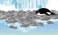 Adelie Penguin lies on an ocean pebbly shore with a glacier in the background. Royalty Free Stock Photo