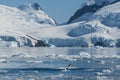 Adelie penguin porpoising,Paradise bay