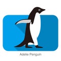 Adelie penguin walking, Penguin series vector illustration