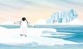 Adelie Penguin walks along the ocean. Birds of the South Poles.