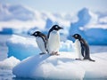 Adelie Penguins Antarctica Made With Generative AI illustration