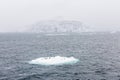 Adelie Penguins on ice shelve and an island