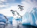 Adelie penguins jumping from iceberg