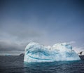 Adelie penguins sit high atop large ice glacier near Brown Bluff in South Georgia