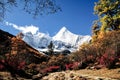 Aden Nature Reserve in China Royalty Free Stock Photo