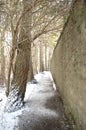 Aden Path in the Winter Royalty Free Stock Photo