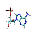 Adenine